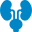 Urology (URS/PCNL)